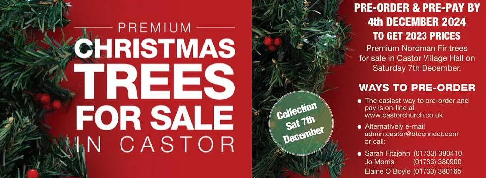 Order your christmas trees today!